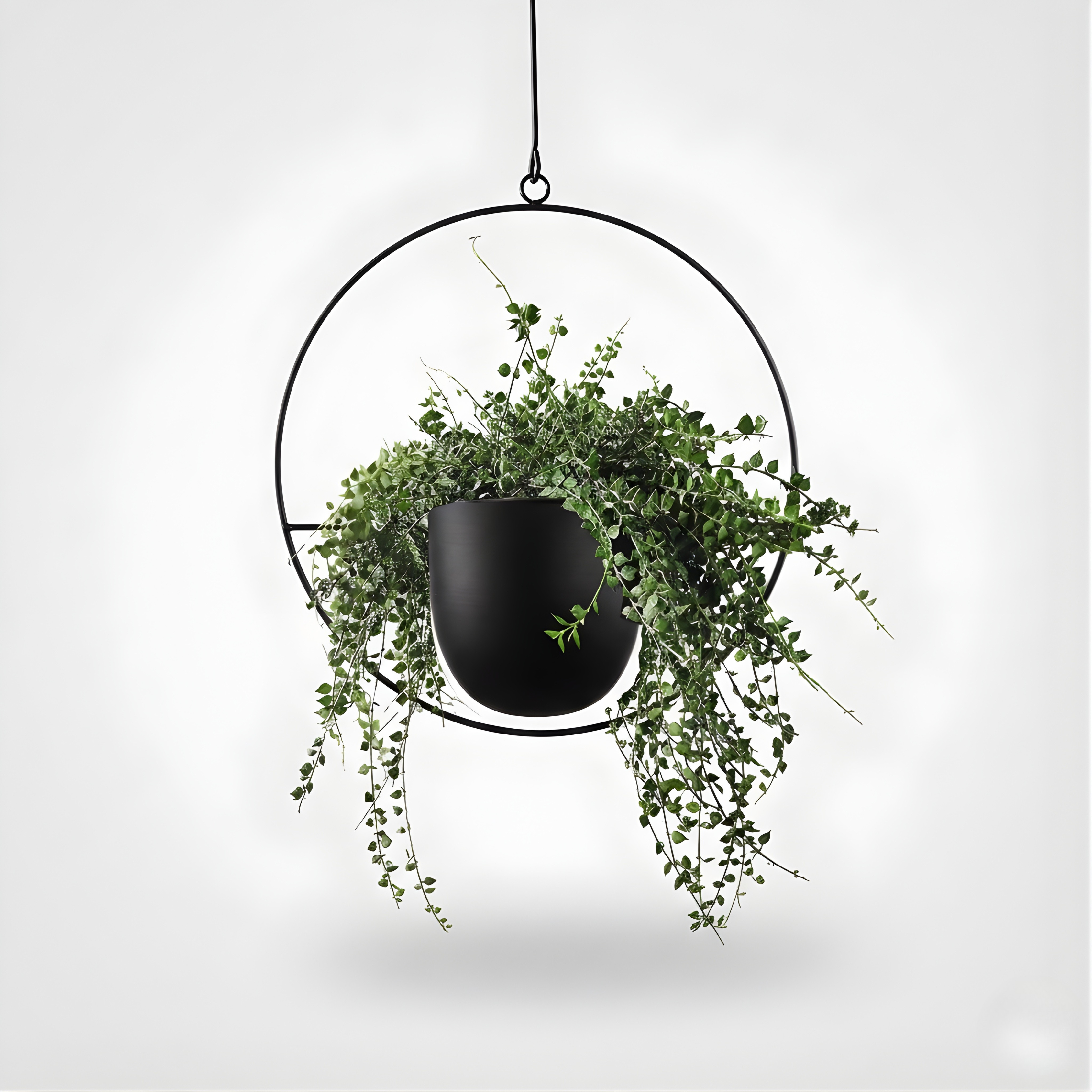 Gold Metal Hanging Planters | Modern Indoor & Outdoor Wall & Ceiling Hangers