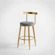 Nutech Decor Velvet Counter Height Bar Stool with Solid Backrest with Gold Legs | Kitchen & Bar Seating